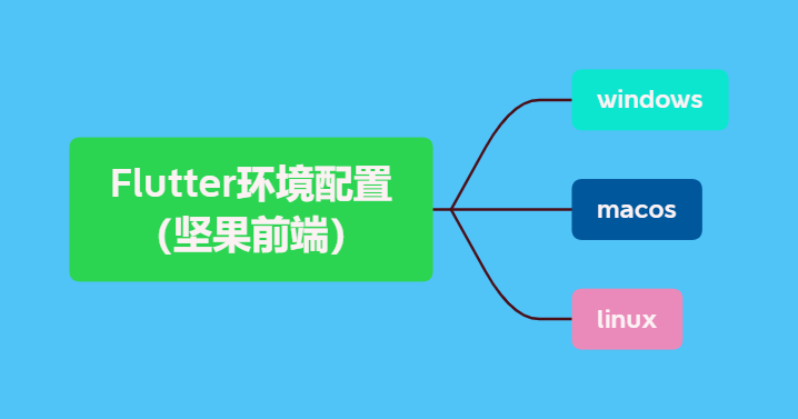 Flutter环境配置 (坚果前端)